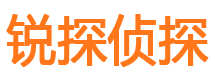 湘东侦探公司